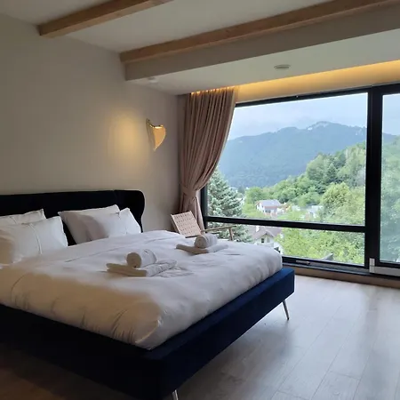 Celest Boutique Urban Hideaway Braşov