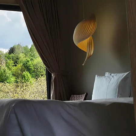 Celest Boutique Urban Hideaway * Brašov