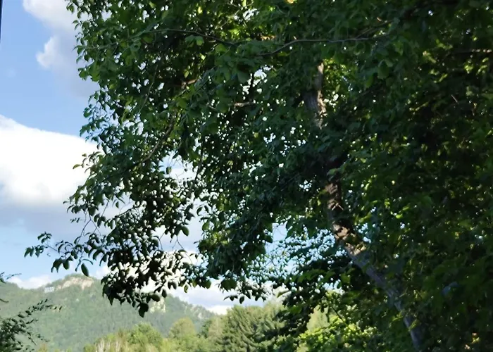 Alpesi faház Celest Boutique Urban Hideaway Brassó